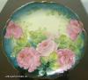  Hand Painted Plate Bavaria 