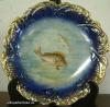 Fish Plate England Fish Plate England