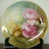 Plate Plate