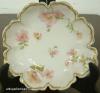 Limoges Dish Limoges Dish
